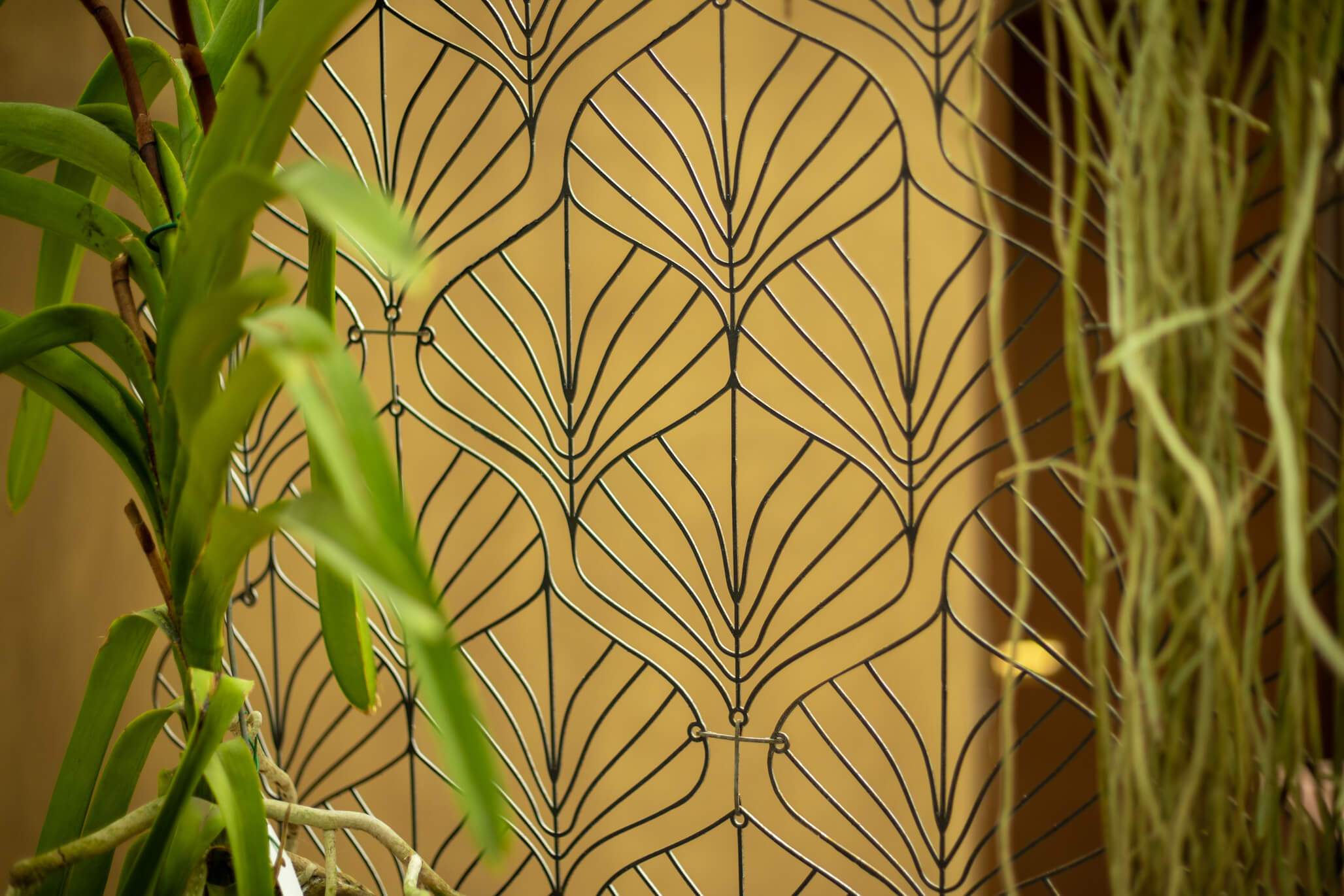 Dettaglio di schermatura architettonica decorativa con pattern vegetale e integrazione del verde